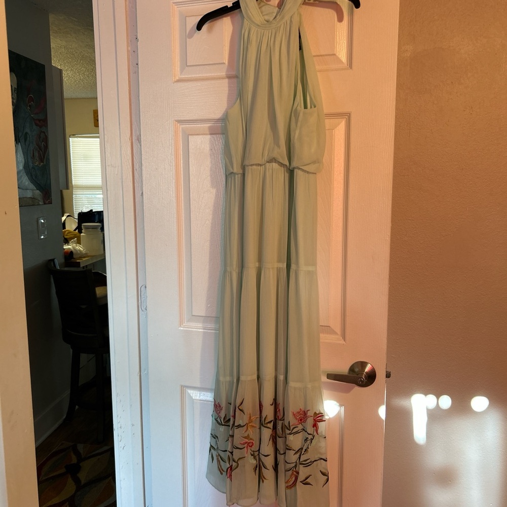 Adrianna Papell Mint Green Floral Maxi Dress